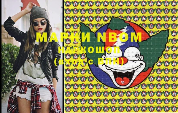 индика Бородино
