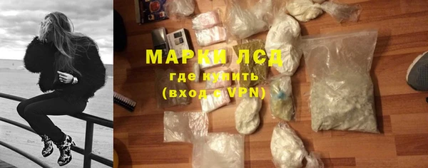 индика Бородино