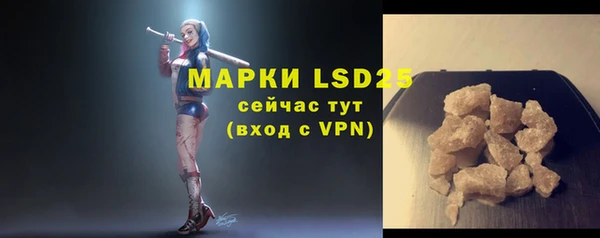 индика Бородино