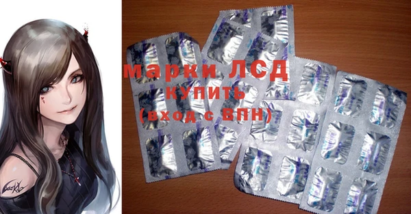 индика Бородино
