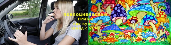 спиды Белокуриха
