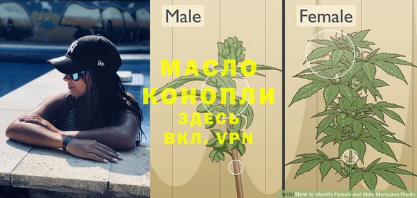 индика Бородино